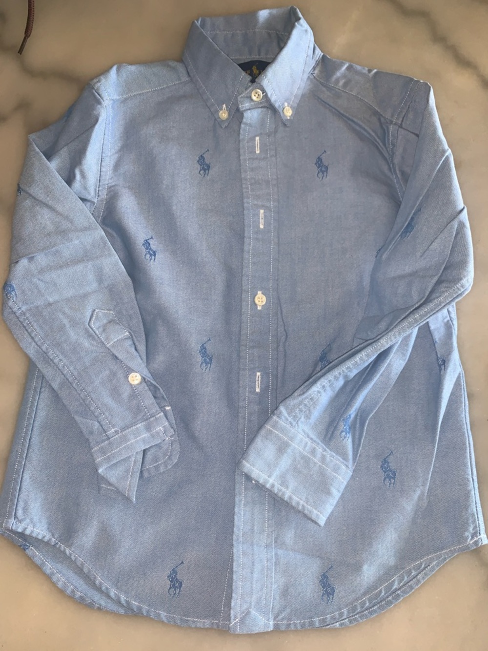 Ralph Lauren Light Blue Embroidered Polo Pony Button-Down Shirt